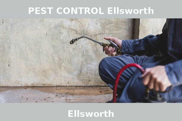 PEST CONTROL Ellsworth